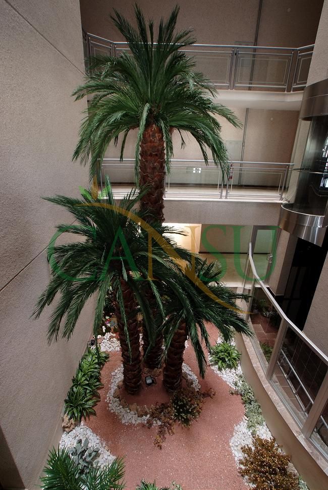 Interior palm tree applications, Ic_Mekan_Palmiye_012