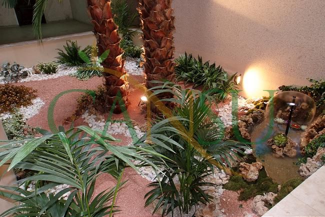 Interior palm tree applications, Ic_Mekan_Palmiye_013