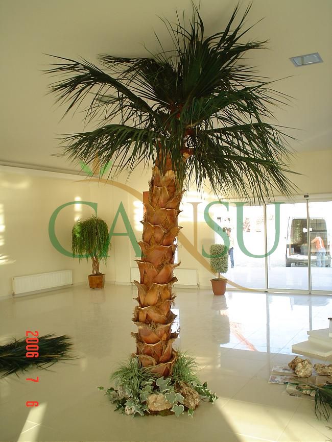 Interior palm tree applications, Ic_Mekan_Palmiye_014