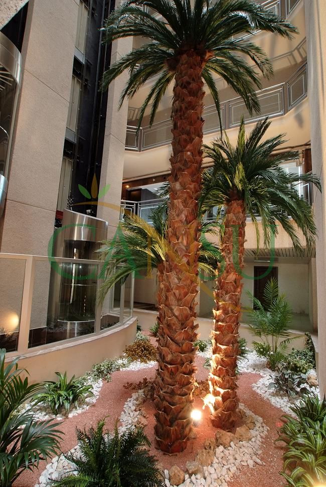 Interior palm tree applications, Ic_Mekan_Palmiye_015