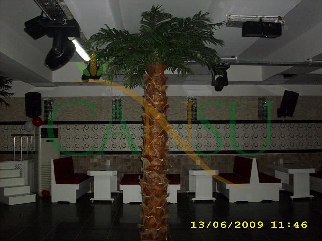 Interior palm tree applications, Ic_Mekan_Palmiye_016