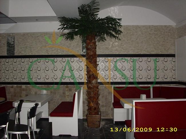 Interior palm tree applications, Ic_Mekan_Palmiye_017