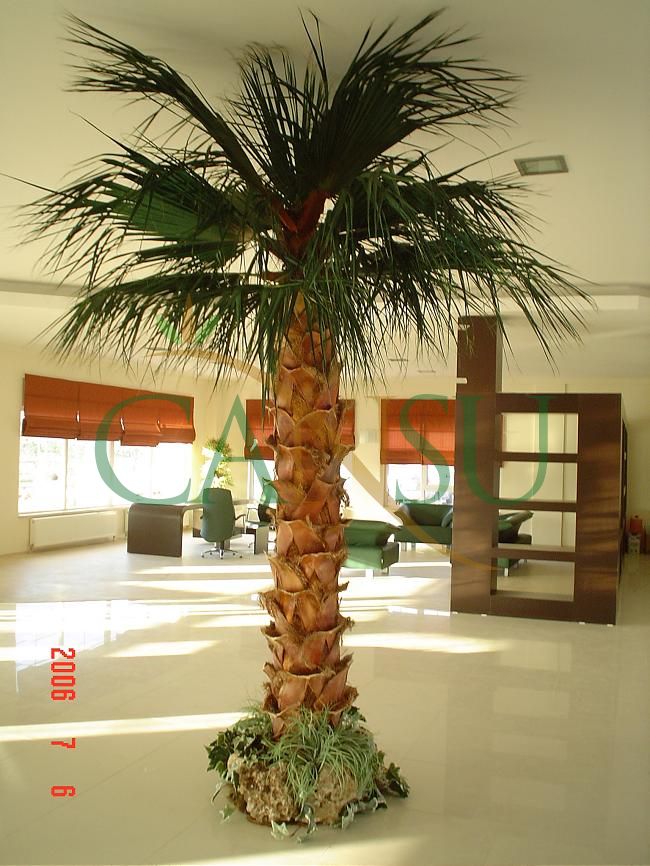 Interior palm tree applications, Ic_Mekan_Palmiye_018