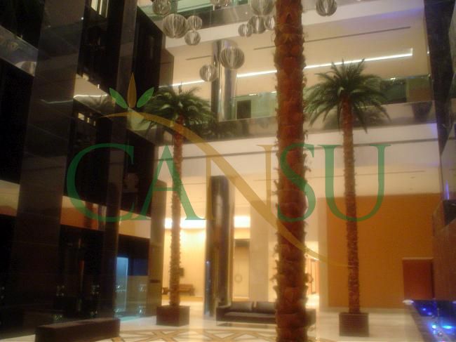 Interior palm tree applications, Ic_Mekan_Palmiye_019