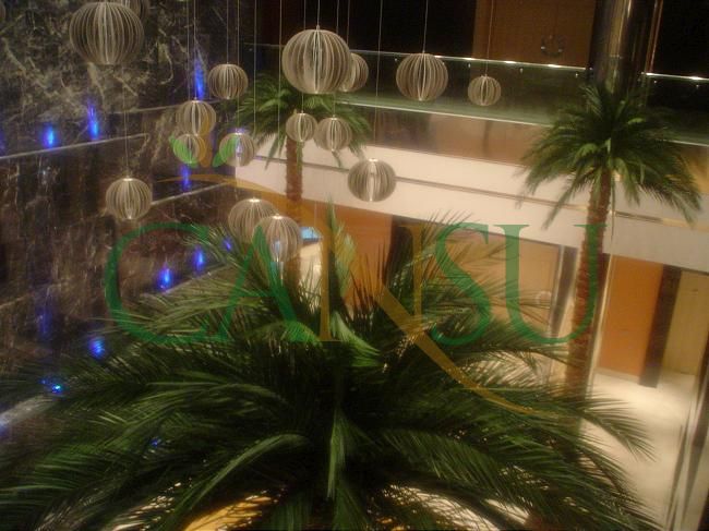 Interior palm tree applications, Ic_Mekan_Palmiye_020
