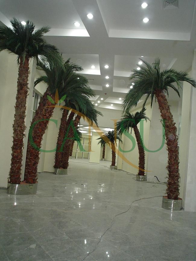 Interior palm tree applications, Ic_Mekan_Palmiye_021