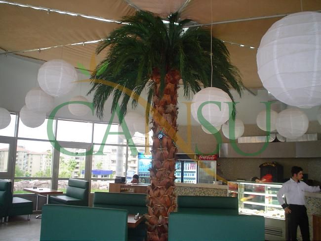 Interior palm tree applications, Ic_Mekan_Palmiye_022
