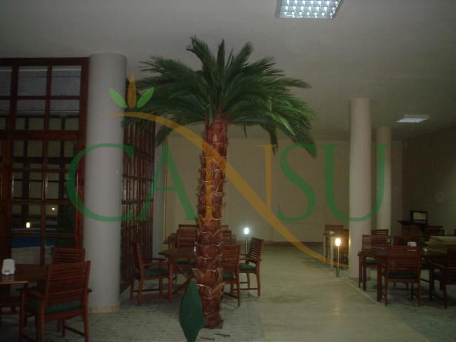 Interior palm tree applications, Ic_Mekan_Palmiye_023