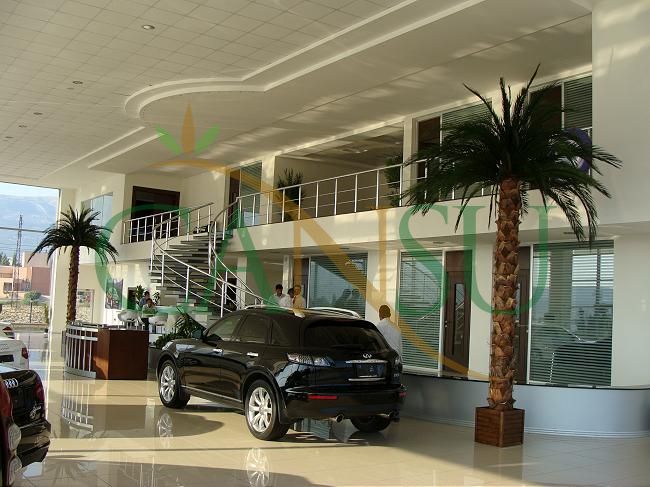 Interior palm tree applications, Ic_Mekan_Palmiye_025