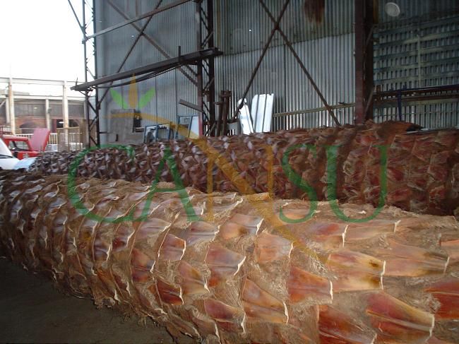 Palm tree manufacturing/application, Palmiye_Imalat_Montaj_004