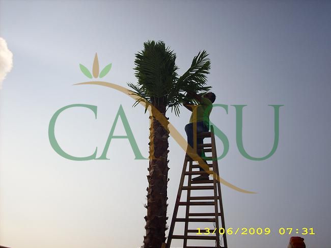 Palm tree manufacturing/application, Palmiye_Imalat_Montaj_007