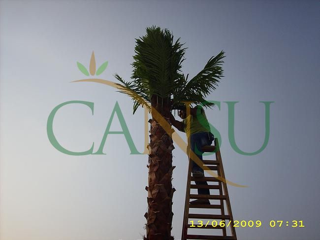 Palm tree manufacturing/application, Palmiye_Imalat_Montaj_008