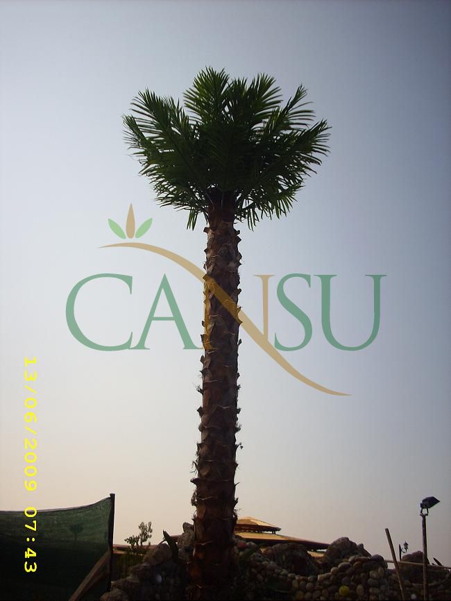 Palm tree manufacturing/application, Palmiye_Imalat_Montaj_009