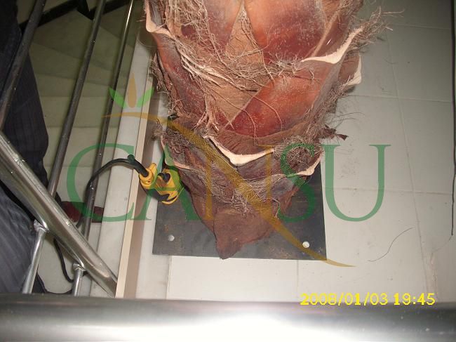 Palm tree manufacturing/application, Palmiye_Imalat_Montaj_011