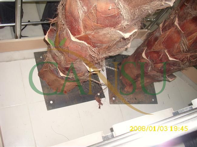 Palm tree manufacturing/application, Palmiye_Imalat_Montaj_012