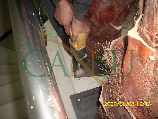 Palm tree manufacturing/application, Palmiye_Imalat_Montaj_014