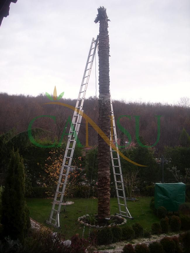 Palm tree manufacturing/application, Palmiye_Imalat_Montaj_015