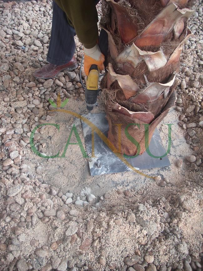 Palm tree manufacturing/application, Palmiye_Imalat_Montaj_019