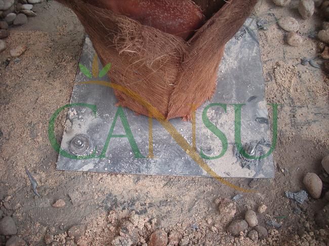 Palm tree manufacturing/application, Palmiye_Imalat_Montaj_021