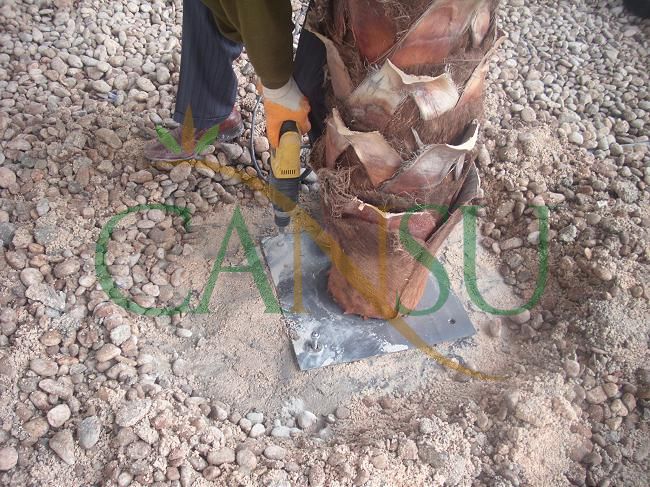 Palm tree manufacturing/application, Palmiye_Imalat_Montaj_022