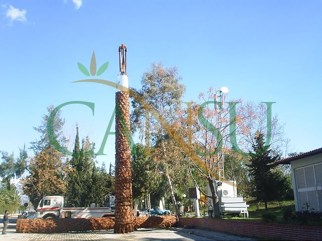 Palm tree manufacturing/application, Palmiye_Imalat_Montaj_023