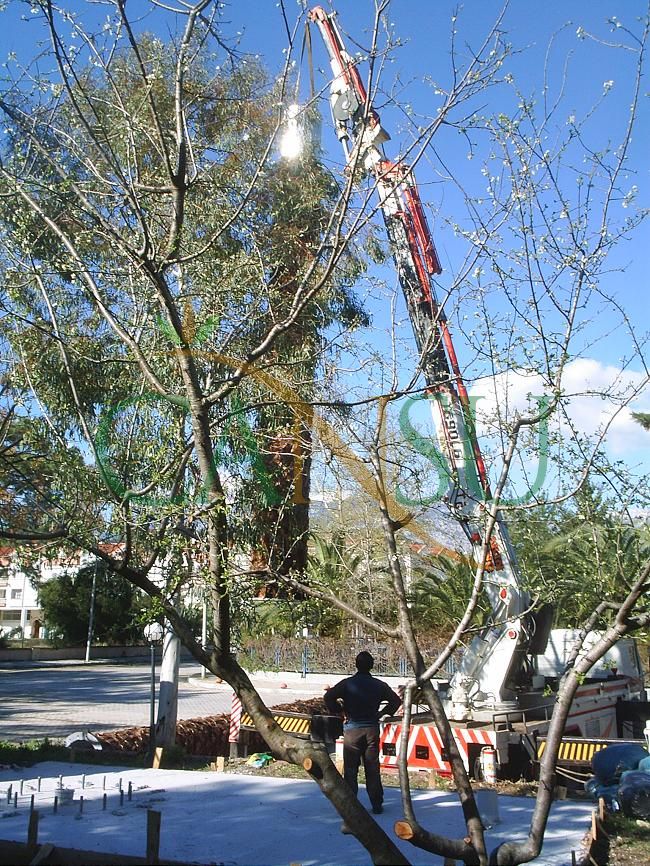 Palm tree manufacturing/application, Palmiye_Imalat_Montaj_024