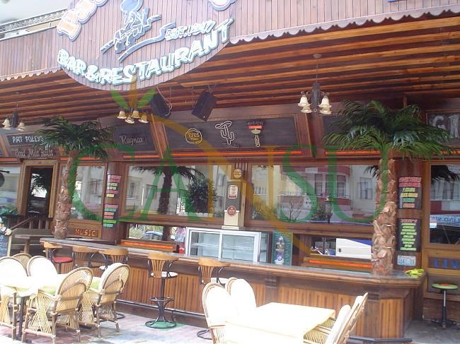 Artificial palm tree applications, Yapay_Palmiye_006