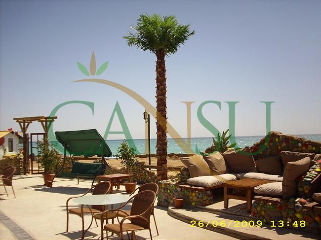 Artificial palm tree applications, Yapay_Palmiye_013