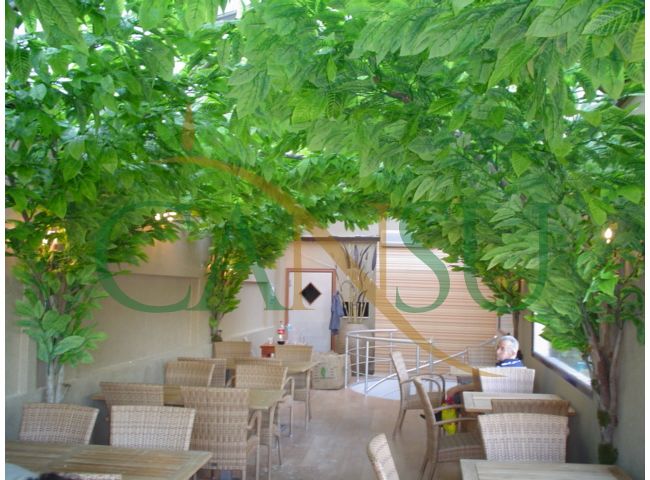 In bound tree application, Yerinde_Agac_002