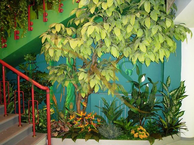 In bound tree application, Yerinde_Agac_003