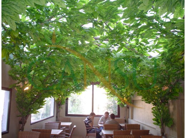 In bound tree application, Yerinde_Agac_004