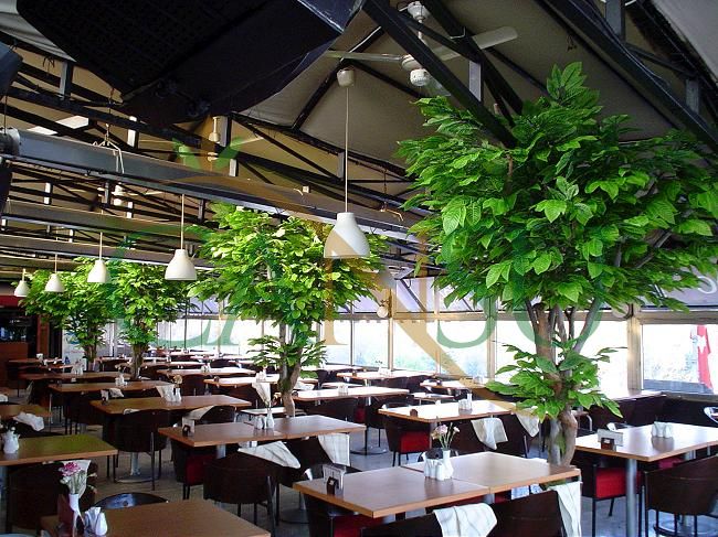 In bound tree application, Yerinde_Agac_005