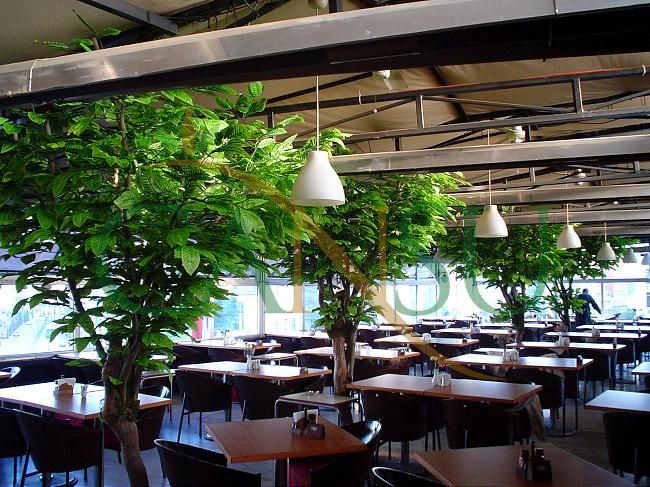 In bound tree application, Yerinde_Agac_007