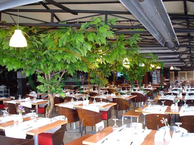 In bound tree application, Yerinde_Agac_010