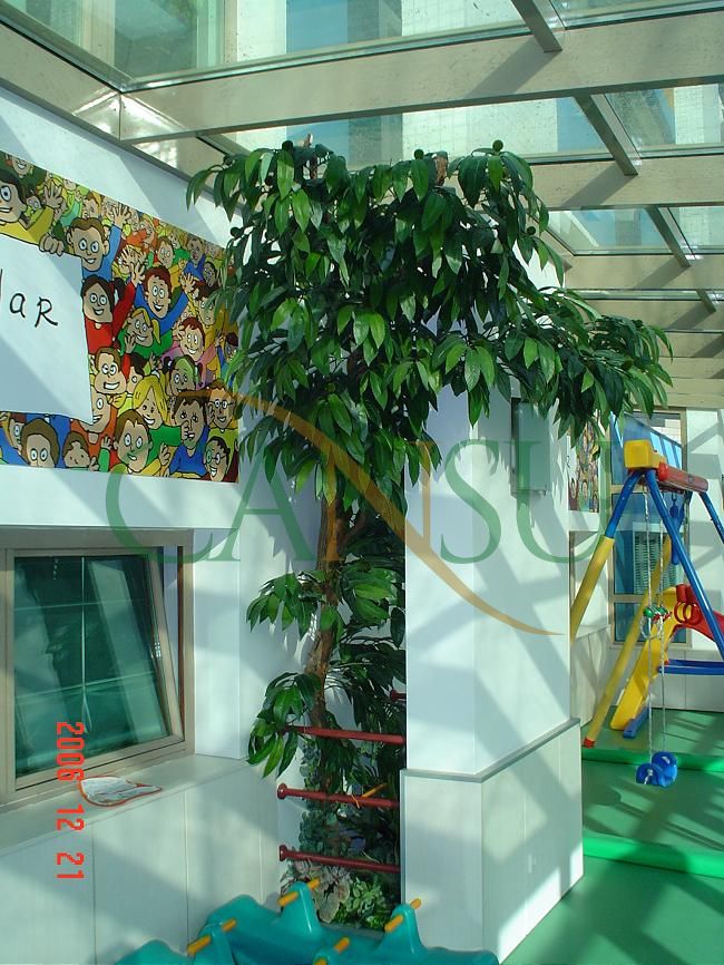 In bound tree application, Yerinde_Agac_013