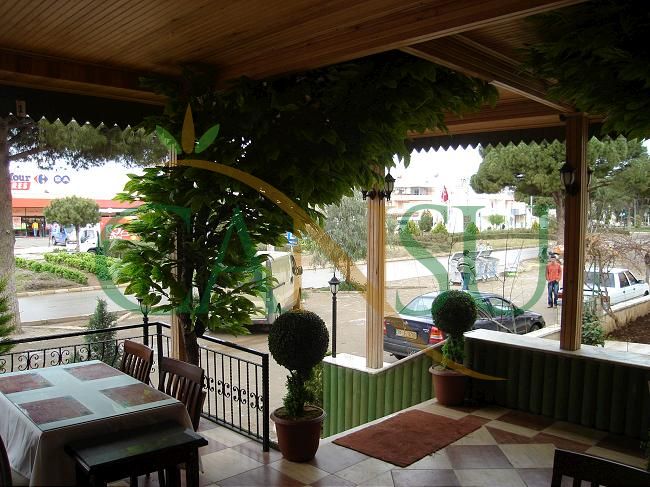 In bound tree application, Yerinde_Agac_018