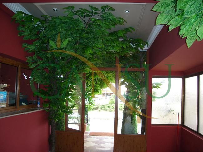 In bound tree application, Yerinde_Agac_019