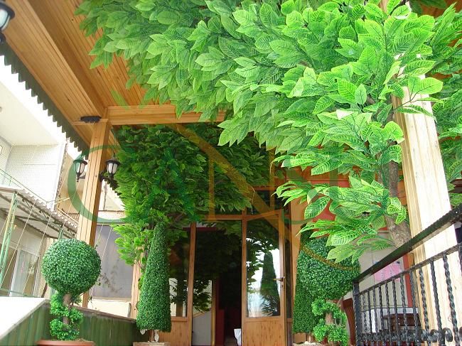 In bound tree application, Yerinde_Agac_021