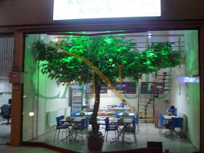 In bound tree application, Yerinde_Agac_022