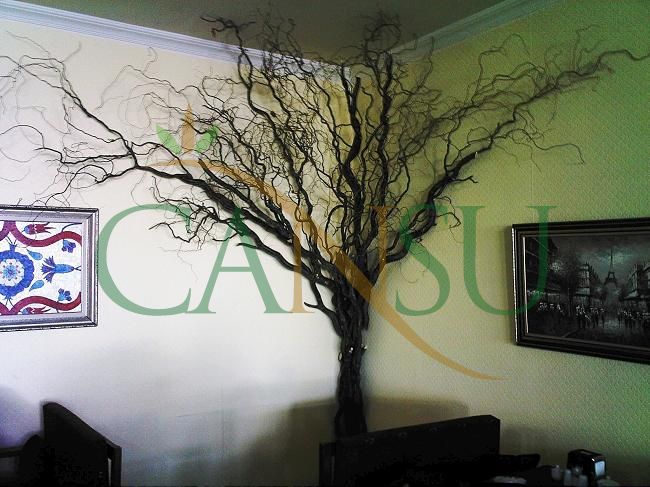 In bound tree application, Yerinde_Agac_025