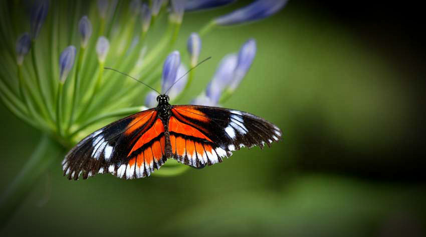 Perfect solutions using flower decorations!