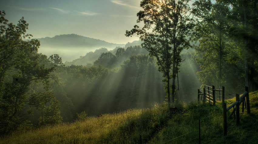 Rich accessorial choices in design and decoration