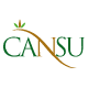 Cansu Floristry :: Flowers, Design, Decoration, Artificial Palm Tree Manufacturing and Grass Wall