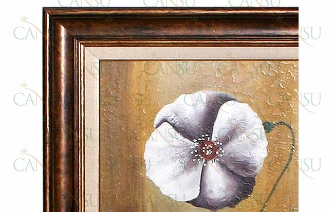 Frames, Model No: CT-AC-005