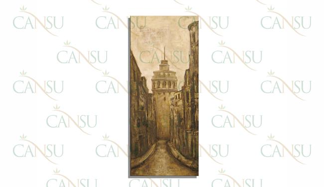 Erdinç Malkoç, Model #: ST004