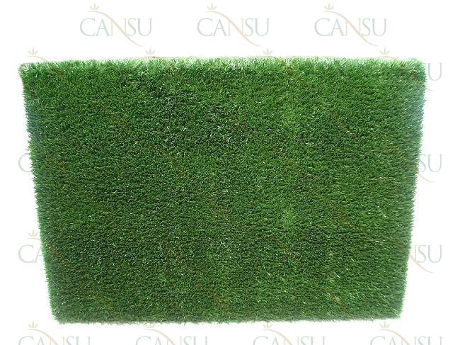 Grass Wall, Model #: CT-CD-003