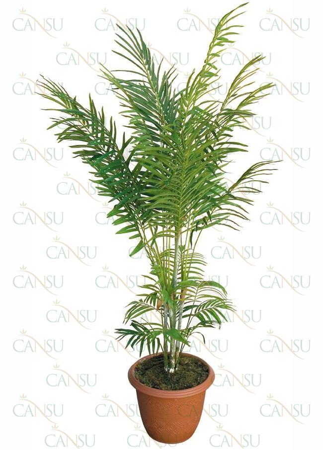 Decorative plants, Model #: CT-07-217