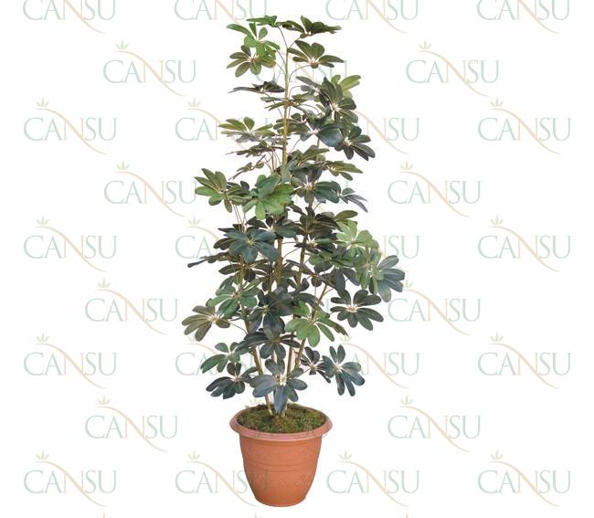 Decorative plants, Model #: CT-07-242