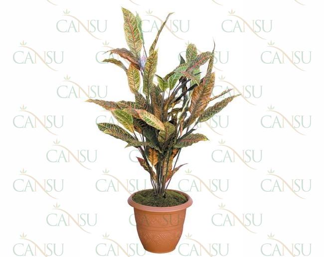 Decorative plants, Model #: CT-07-254