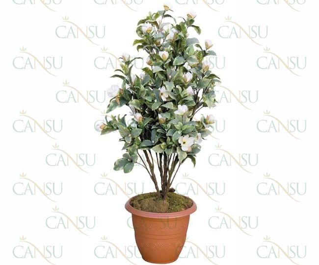 Decorative plants, Model #: CT-07-260